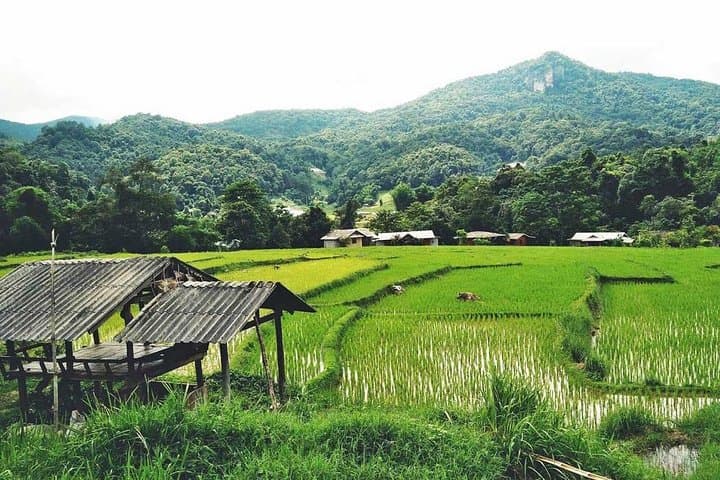 Doi Inthanon Day Trek to Pha Dok Siew Waterfall & Royal Project photo 6