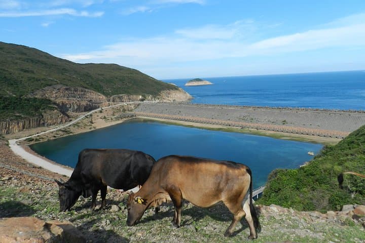 Morning Walk at High Island Geopark: Hexagonal Columns, East Dam Views & Coastal Fresh Air photo 1