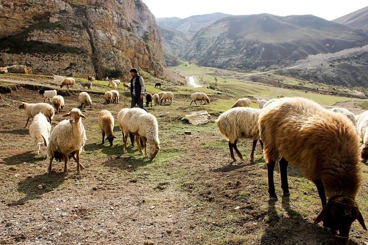 Khinalig & Galakhudat Day Hike from Quba — Mountain Village Walk with Home-Made Lunch photo 4