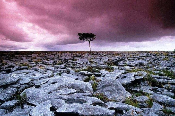 Burren Walk to Mullaghmore & Burren Perfumery — Guided 4-Hour Clare Experience
