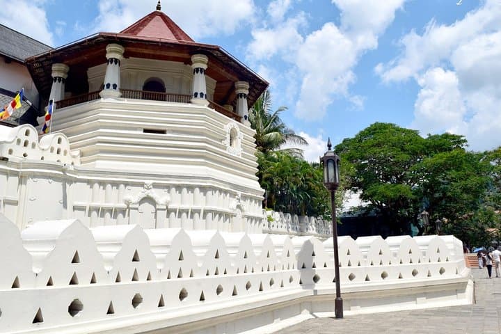 Private Kandy Day Tour from Negombo — Temple of the Tooth, Royal Botanic Gardens & Tea Estate Visit