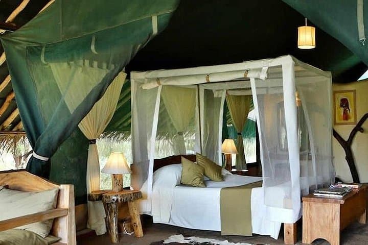 3-Day Amboseli Safari: Elephants, Kilimanjaro Views & Maasai Visits photo 2