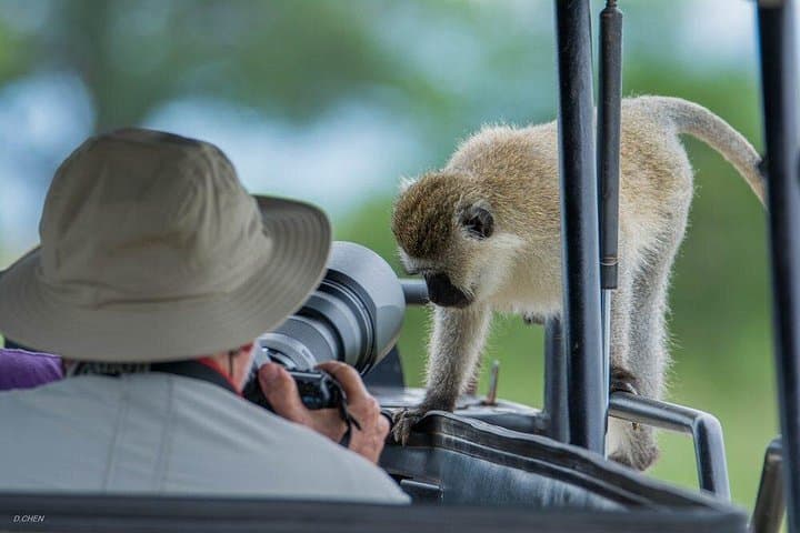 Tarangire National Park Day Safari — Elephants, Flamingo Plains & Big Five Viewing photo 3