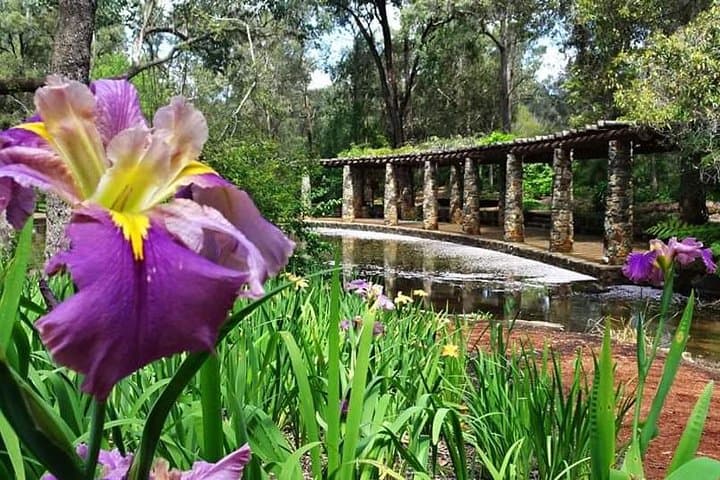 Perth Hills Explorer: Private Day Tour to Bickley Valley & Mundaring Weir photo 2