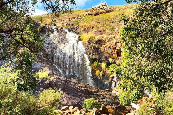 Perth Hills Explorer: Private Day Tour to Bickley Valley & Mundaring Weir photo 4