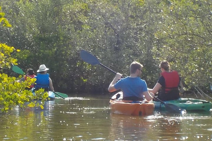 Guided Kayak Backwater Tour — Cocoa Beach Thousand Islands Manatee & Dolphin Experience photo 6