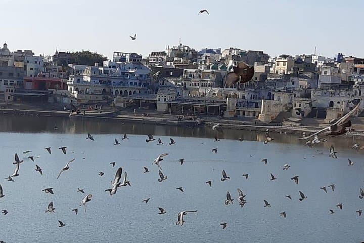 Unforgettable 11-Day Guided Golden Triangle Tour From Bangalore