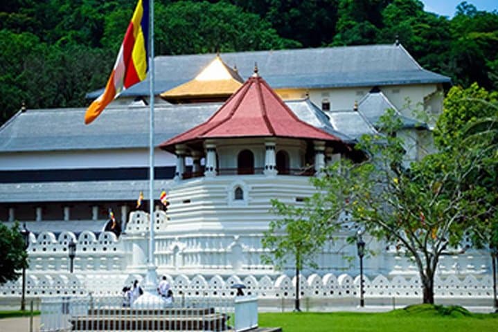 Kandy to Nuwara Eliya Private Multi-Day Tour: Temple, Tea Country & Kitulgala photo 4