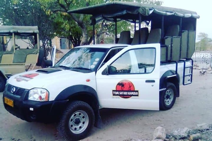 Etosha Park Safari in 4x4 with Local Guides — Full-Day Game Drive