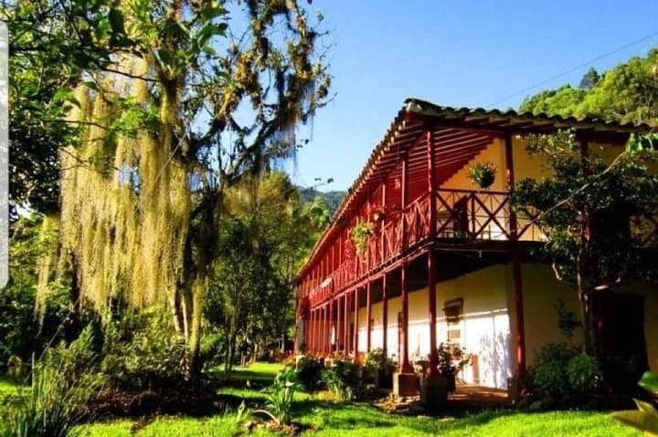 Medellín Coffee Experience: From Bean to Cup at a 1800s Hacienda