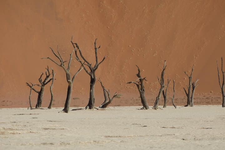 Namibia Extreme Sports Package: Sandboarding, Skydiving & Desert Ballooning photo 3