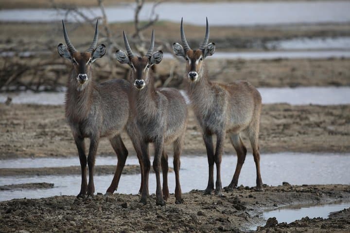Extreme Silver Safari: 10-Day Windhoek to Swakopmund Adventure photo 5