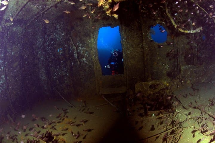 Wreck Weekend Dive Tour in Bay of Islands — Rainbow Warrior, HMNZS Canterbury & More photo 6