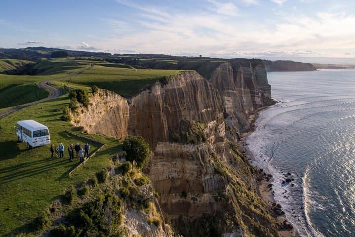 Overland Safari to Cape Kidnappers Gannet Colony — Drive onto the Clifftop in Hawke's Bay photo 3