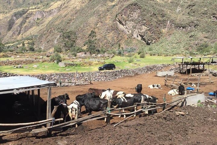 Matucana Waterfall Day Trip from Lima — Lima Mountains Adventure photo 2