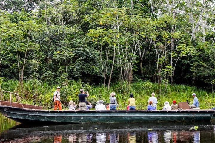 4-Day Tambopata Jungle Lodge Adventure: Lake Sandoval & Canopy Platforms photo 2