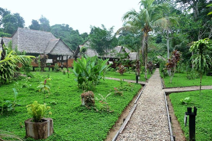 4-Day Tambopata Jungle Lodge Adventure: Lake Sandoval & Canopy Platforms photo 3