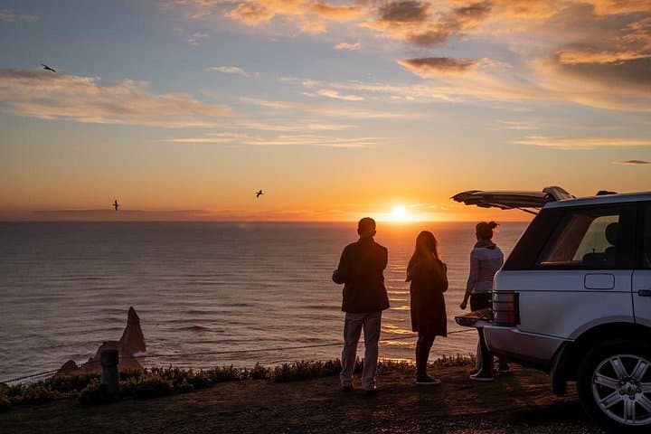 Sunrise Tour to Cape Kidnappers — Watch Gannets Light Up New Zealand’s East Coast