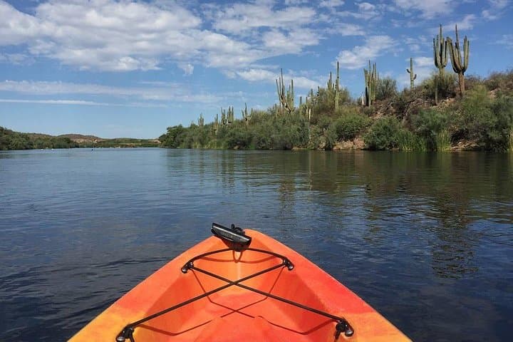 Salt River Foxtail Kayak Trip: Unguided 5-Mile Paddle from Saguaro Lake photo 5