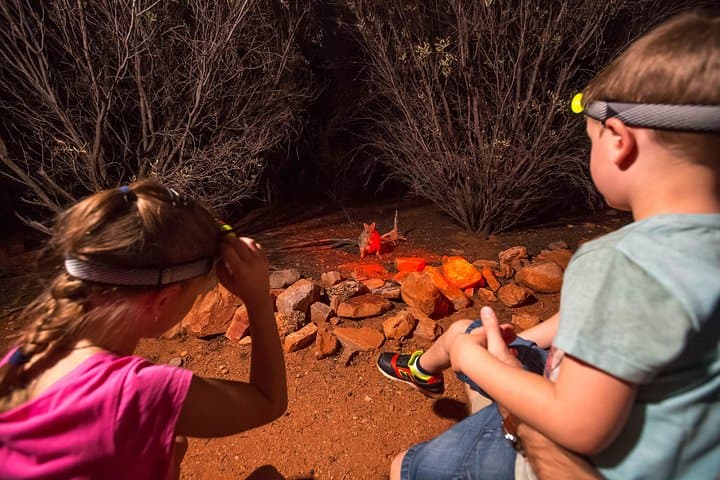Alice Springs Desert Park Nocturnal Tour: Spotlight on Bilbies & Desert Wildlife photo 4