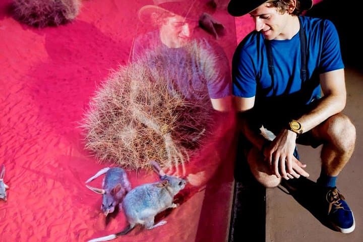 Explore Alice Springs Desert Park: Self-Guided Desert Wildlife & Cultural Experience photo 3