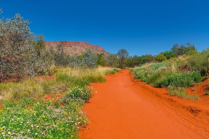 Explore Alice Springs Desert Park: Self-Guided Desert Wildlife & Cultural Experience photo 5