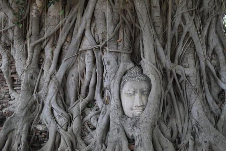 Ayutthaya Temples & River Cruise: Top Tour from Bus Station photo 3