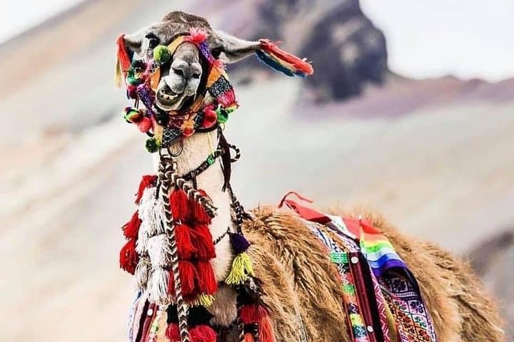 Full-Day Rainbow Mountain Trek from Cusco: Vinicunca Colors and Culture photo 2