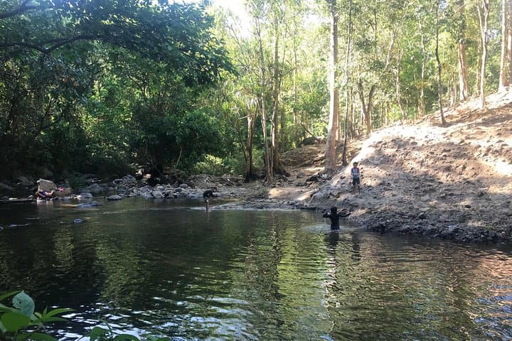 Subic Bay Jungle Survival: Aeta Bushcraft & Bamboo Cooking Day Course