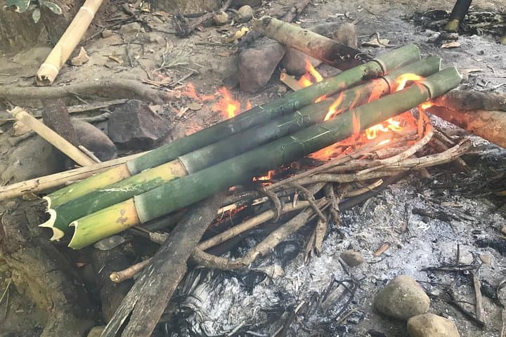 Subic Bay Jungle Survival: Aeta Bushcraft & Bamboo Cooking Day Course photo 3