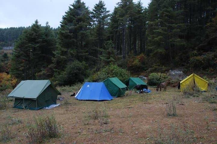 Druk Path Trek: 9-Day Paro-to-Thimphu High-Altitude Trek in Bhutan photo 6