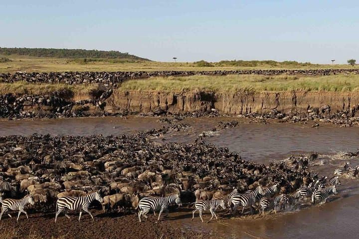 11-Day Northern Tanzania Safari: Serengeti, Ngorongoro & Kilimanjaro Gateway photo 3