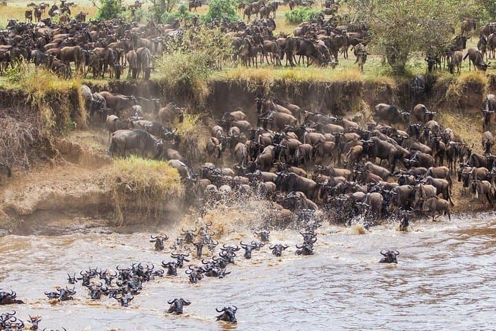 11-Day Northern Tanzania Safari: Serengeti, Ngorongoro & Kilimanjaro Gateway photo 5