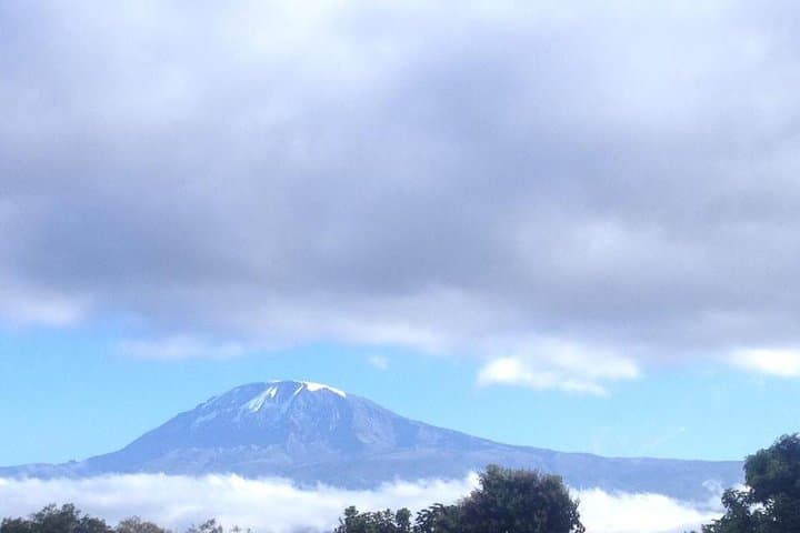 Climb Kilimanjaro in 7 Days: Machame Route Itinerary and Guide