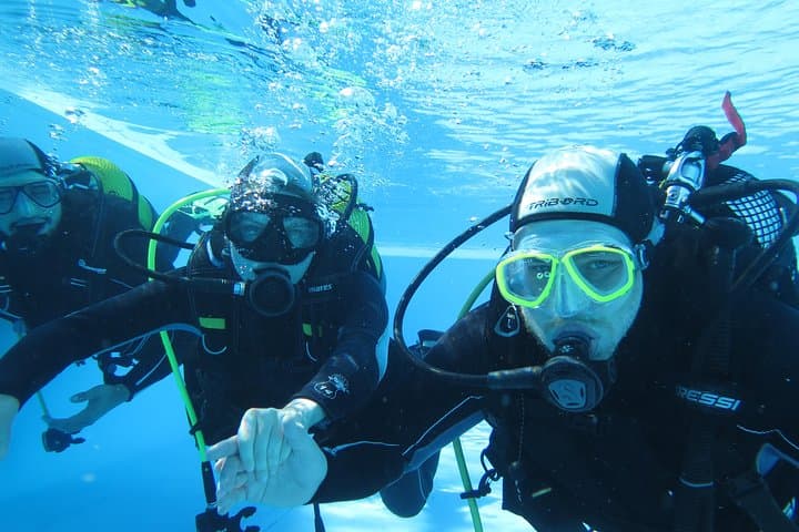 Madeira Discover Scuba Diving: Try a PADI Introductory Sea Dive in Funchal photo 2