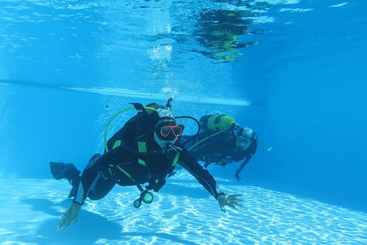 Madeira Discover Scuba Diving: Try a PADI Introductory Sea Dive in Funchal photo 3