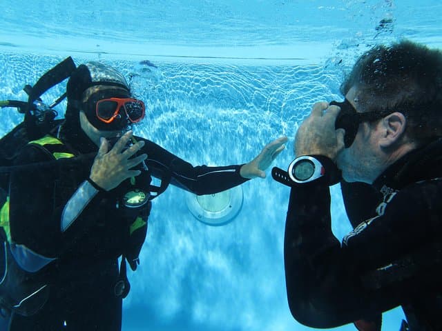 Madeira Discover Scuba Diving: Try a PADI Introductory Sea Dive in Funchal photo 5