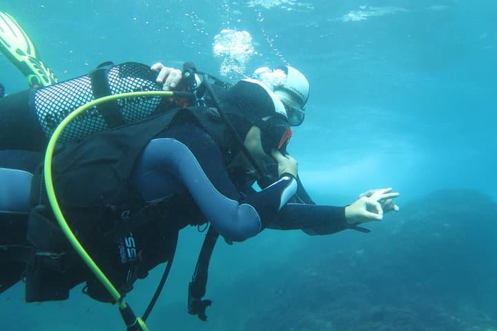 Madeira Discover Scuba Diving: Try a PADI Introductory Sea Dive in Funchal photo 6