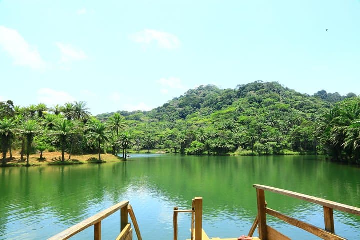 Magoroto Forest Reserve 3-Day Retreat — Tropical Rainforest Escape Near Muheza