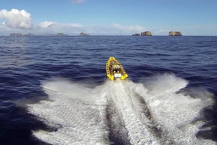 Vestmannaeyjar RIB Boat Tour: 2-Hour Sea Adventure to Puffin Cliffs & Sea Caves