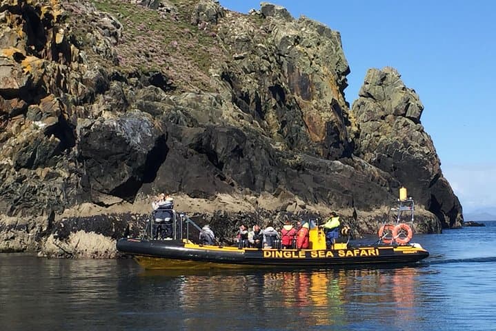 Dingle RIB Sea Safari: High-Speed Wildlife & Sea Cave Adventure