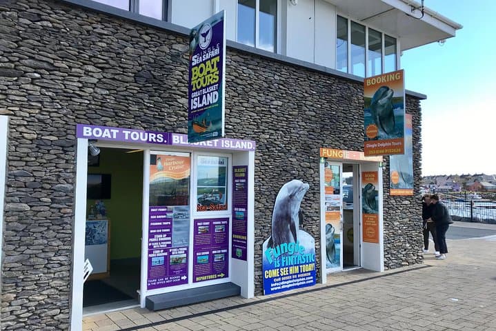 Dingle RIB Sea Safari: High-Speed Wildlife & Sea Cave Adventure photo 3