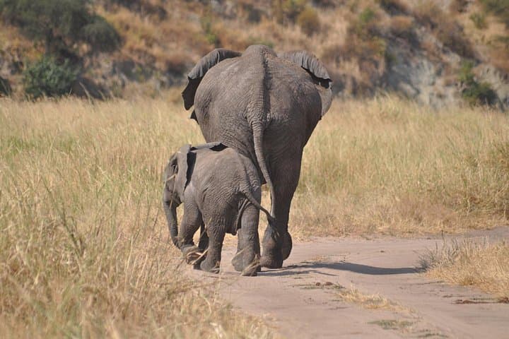 4-Day Camping Safari: Serengeti, Ngorongoro & Tarangire photo 1