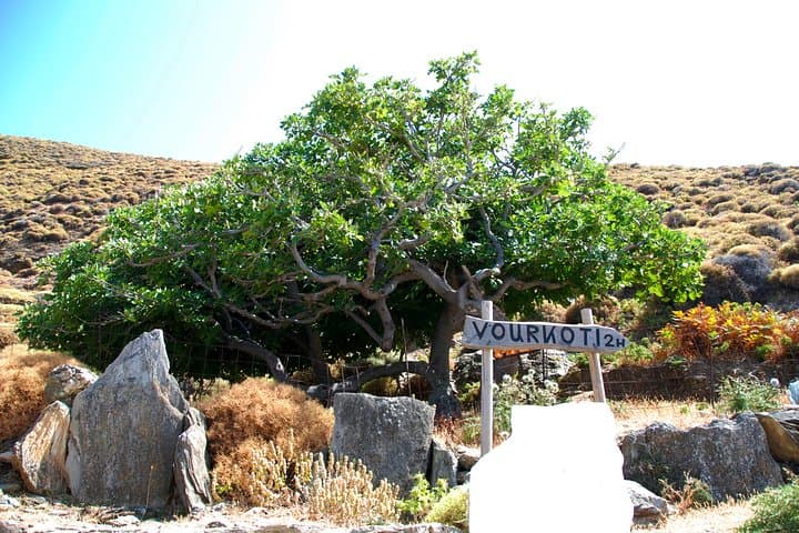 Achla Beach & Gria Lighthouse Tour on Andros — River-Fed Beaches and Coastal Views photo 5