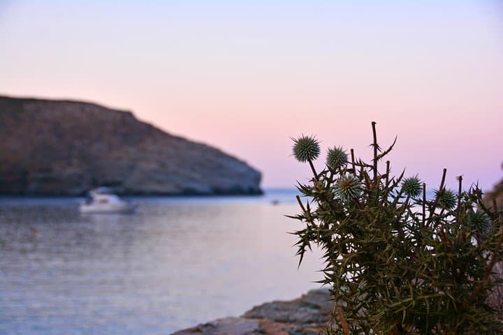 Achla Beach & Gria Lighthouse Tour on Andros — River-Fed Beaches and Coastal Views photo 6