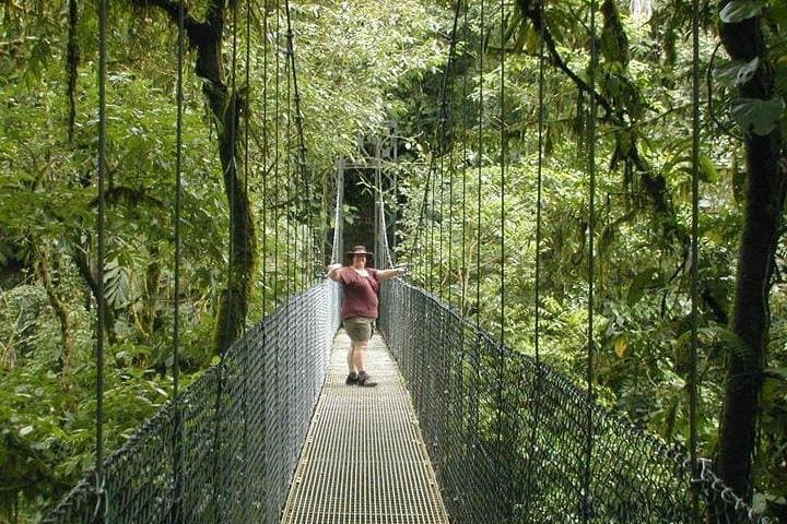 Arenal Hanging Bridges: Mistico Park Rainforest Hike & Wildlife Walk photo 5