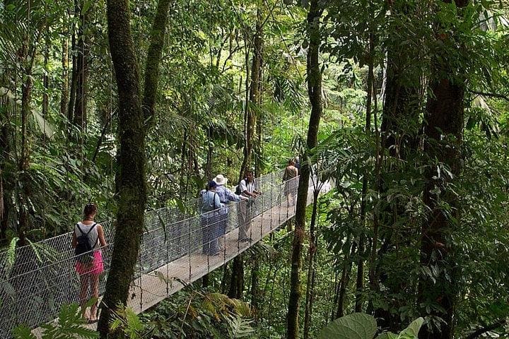Arenal Hanging Bridges: Mistico Park Rainforest Hike & Wildlife Walk photo 6