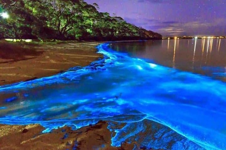 Blue Hole to Luminous Lagoon: Montego Bay Private Waterfall and Bioluminescent Tour photo 2