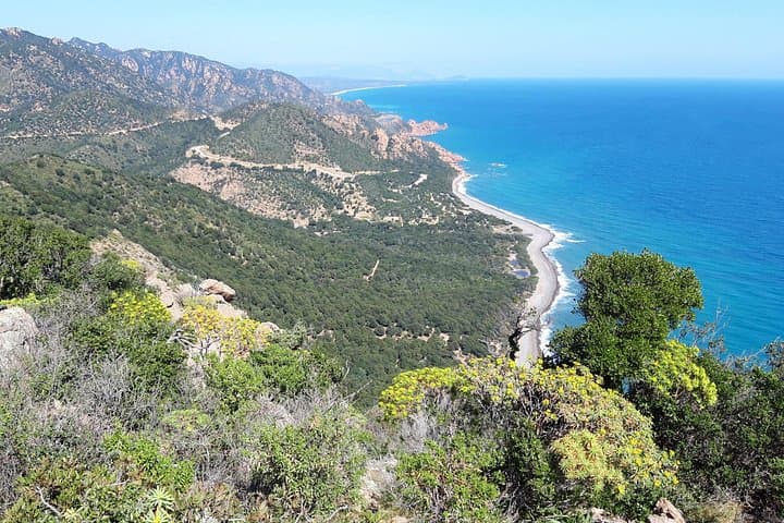 Sa Perda Stampada to Cartucceddu: Sardinia Coastal Hike & Natural Ponds photo 5