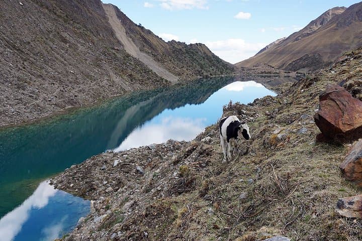 Day Hike to Humantay Lake with Salkantay Snowcap Views photo 2